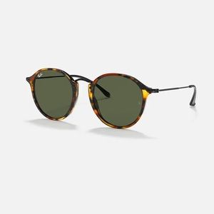 Ray-Ban Round Fleck Sunglasses